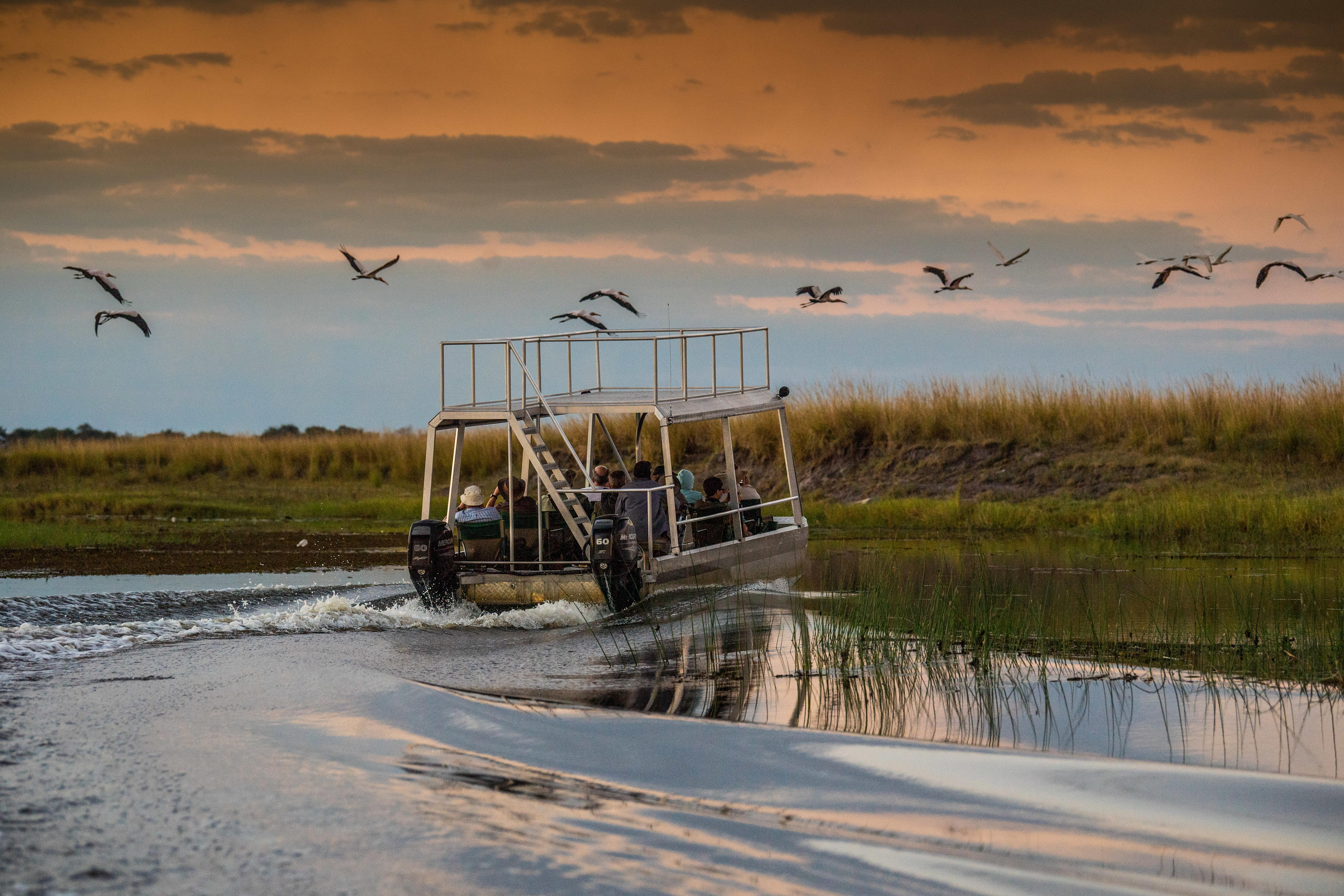 Chobe River Camp thumbnail 5